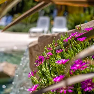 Bosco Canoro Apartmanhotel